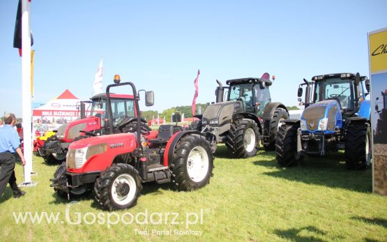 Zielone AGRO SHOW – POLSKIE ZBOŻA 2014 w Sielinku - niedziela