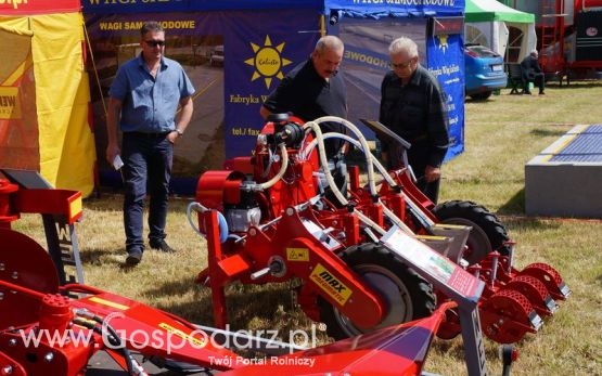 WEREMCZUK na XXII Żuławskich Targach Rolnych w Starym Polu