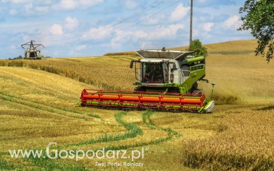 Żniwa Jęczmienne 2016 