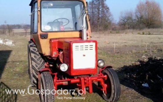 władimirec t25a2