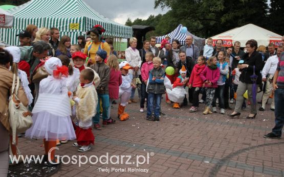 VIII Ogólnopolski Festiwal Pasztetników i Potraw z Gęsi