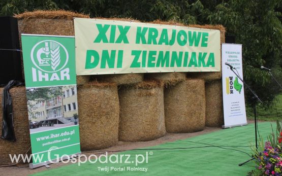 XIX Krajowe Dni Ziemniaka w Marszewie