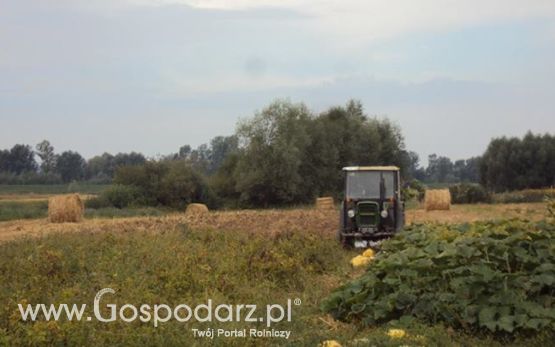 Wspomnienia 2013r.