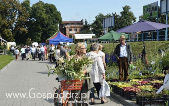  Targi ROLEXPO 2014