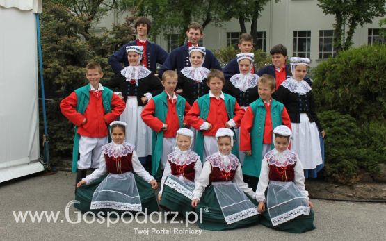 Mięsna Arena 2013 w Poznaniu