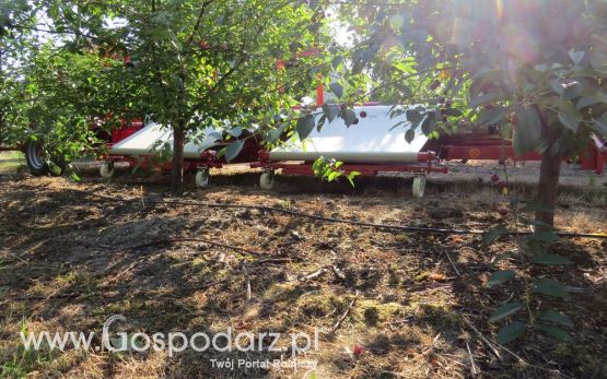 MAJA AUTOMATIC model TS