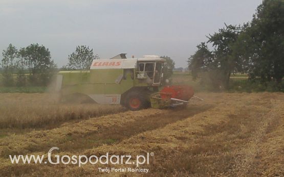 Żniwa 2011 CLAAS C-360 w roli głownej 