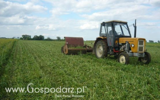 Żniwa Rzepakowe 2011 z MrZgredy