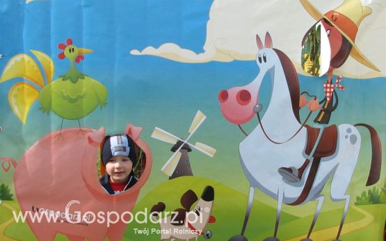 Zdjęcia ze świnką na Agro Show 2012 piątek
