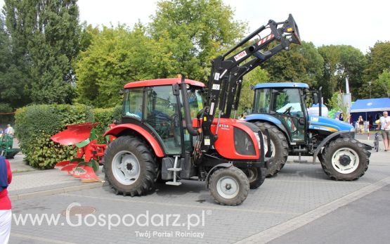 XIV Wojewódzko-Diecezjalne Dożynki Wielkopolskie w Ostrowie Wielkopolskim