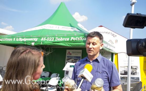 WESSTRON na OPOLAGRZE 2015
