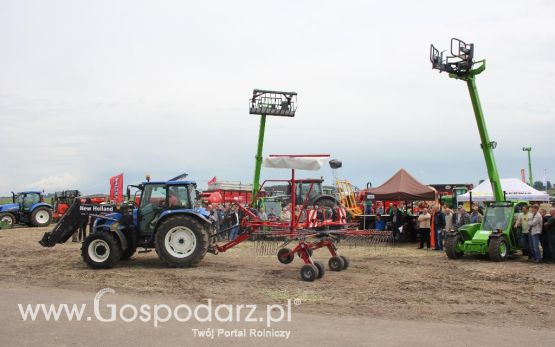 Pokazy polowe Romanów k/Krotoszyna