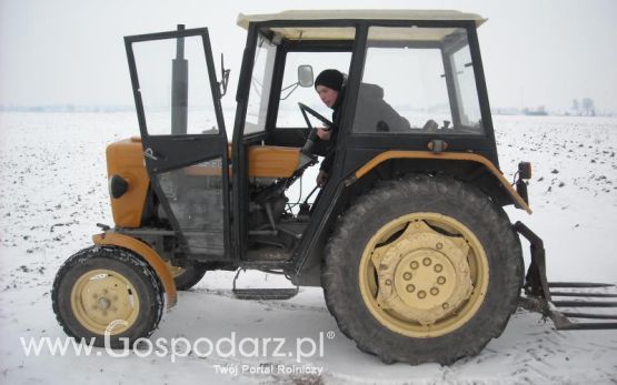Zima 2012