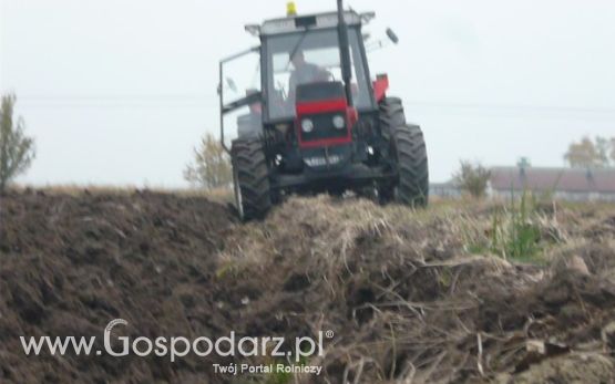 MrZgredy de luxa mają więc w polu sobie rade dają Orka Zimowa 2011
