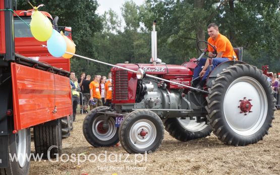 Precyzyjny Gospodarz i Gospodarz Retro na Roltechnice 2017