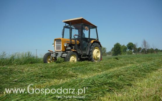 Sianokosy 2011