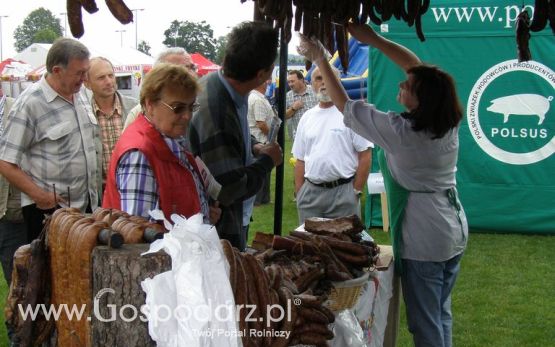 II Festiwal Wieprzowiny w Kwidzyniu