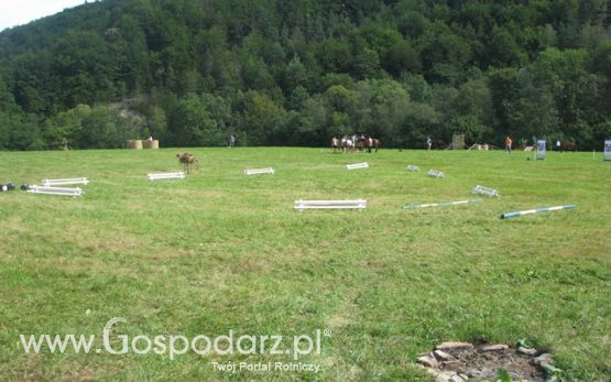 Krajowa Wystawa Ras Rodzimych Rudawka Rymanowska 2012