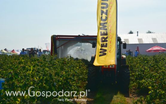 Malinowe factory - pokazy opryskiwacza tunelowego NESTOR 