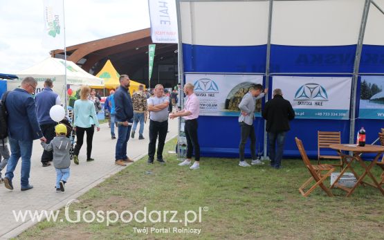 Skavska Hale na AGRO-TECH Minikowo 2017