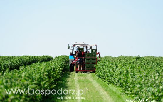 Maszyny WEREMCZUK na Ukrainie