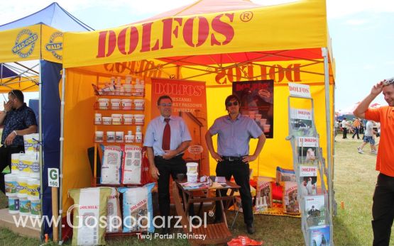 DOLFOS na Opolagra 2012