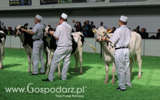 Krajowa Wystawa Zwierząt Hodowlanych w Poznaniu 2017 (piątek, 5 maja)