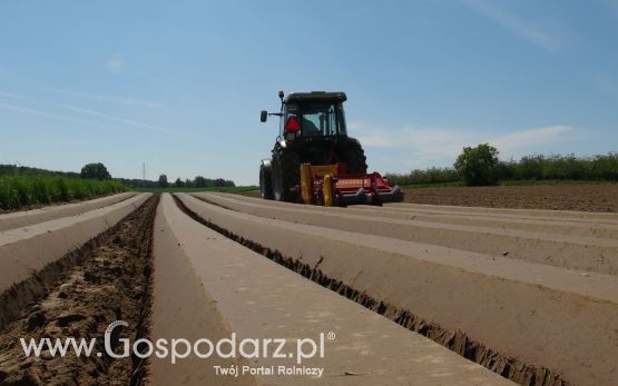 Agregat AUR2 i siewnik pneumatyczny MAX PNEUMATIC  w pracy