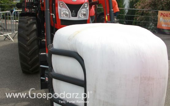Precyzyjny Gospodarz na KWZH 2015 - sobota