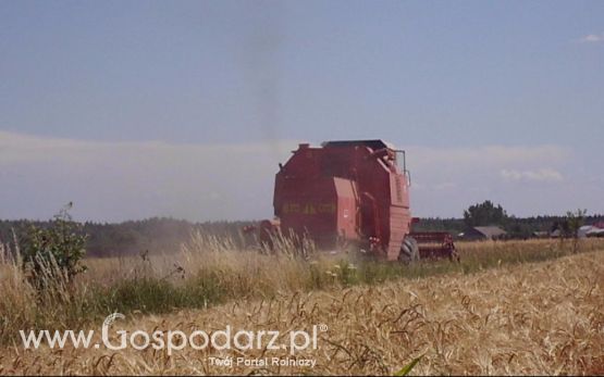 ŻNIWA 2012