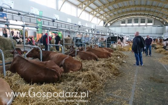 Narodowa Wystawa Zwierząt Hodowlanych 2019