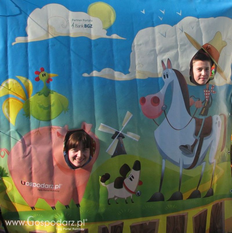 Zdjęcia ze świnką na Agro Show 2012 niedziela