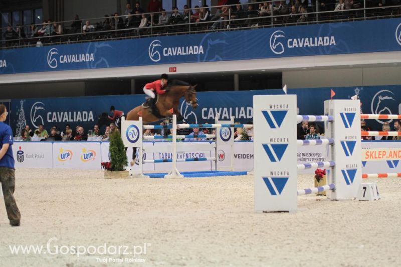 CAVALIADA 2013 w Poznaniu