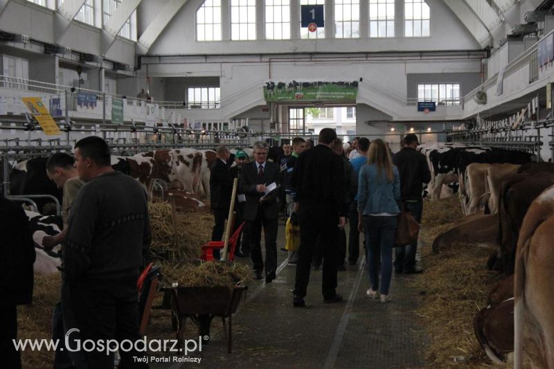 XXVI Krajowa Wystawa Zwierząt Hodowlanych - sobota i niedziela