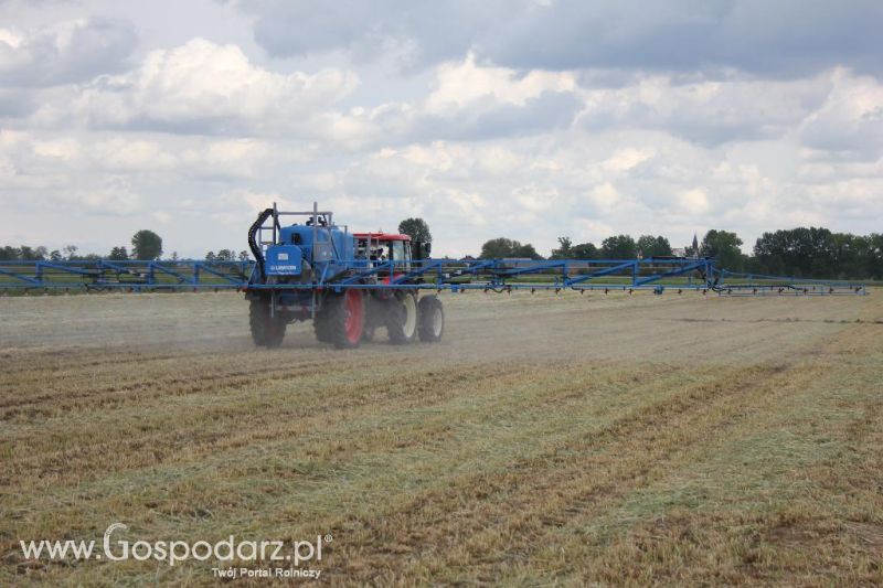 Pokazy polowe Romanów k/Krotoszyna