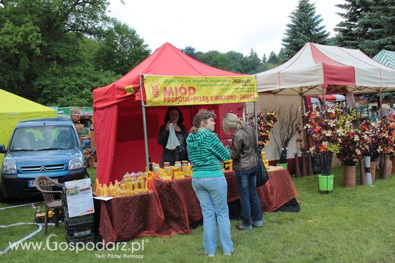 XX Targi Rolnicze Lubniewice 