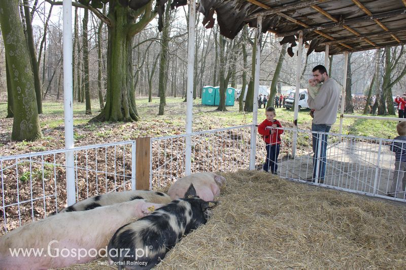 Targi Rolno-Ogrodnicze AGROMARSZ Marszew 2011