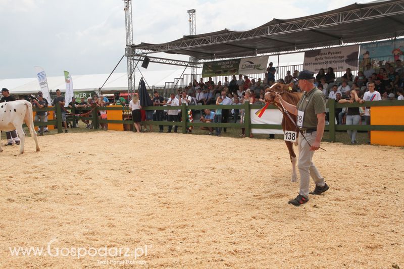 Targi Opolagra 2018