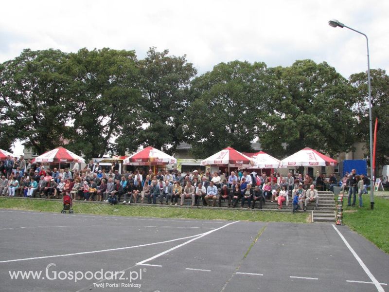 Festiwal Wieprzowiny w Koźminie Wielkopolskim 2013