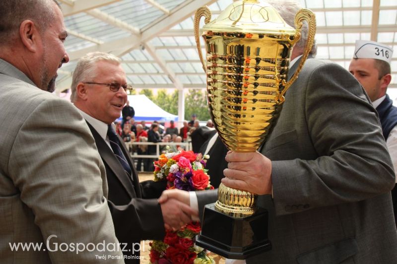 Championi VII Ogólnopolskiej Wystawy Bydła Hodowlanego - Sielinko 2012