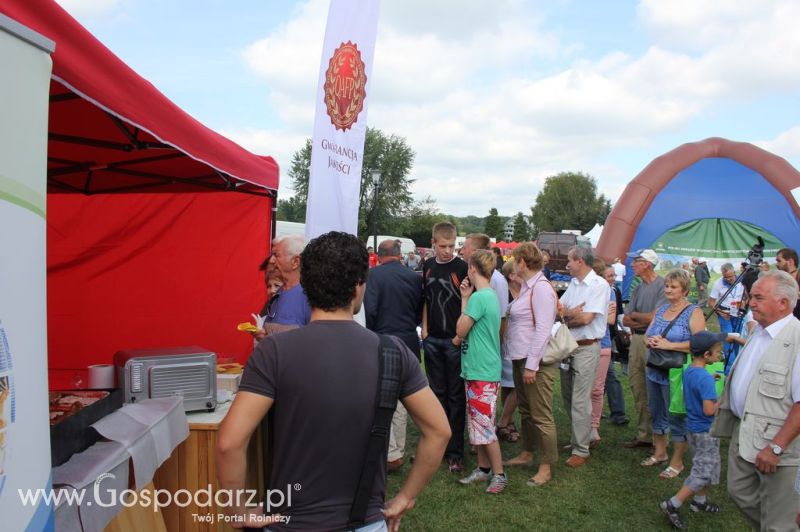 Świętomięs Polski w Chorzowie