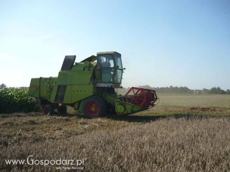 Żniwa 2011