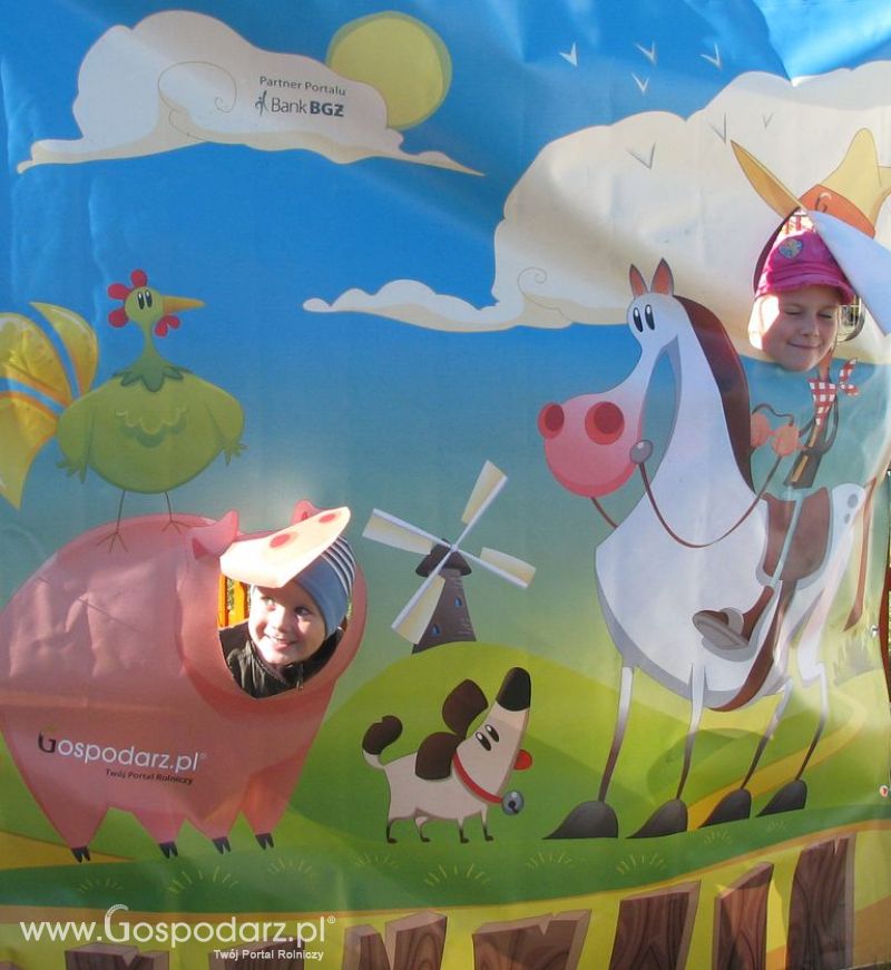 Zdjęcia ze świnką na Agro Show 2012 niedziela