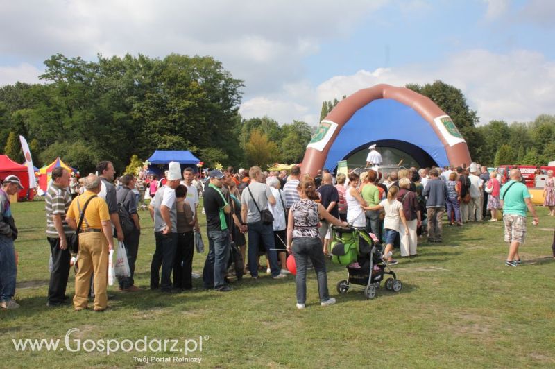 Świętomięs Polski w Chorzowie