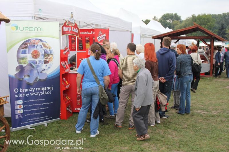 Świętomięs Polski w Chorzowie