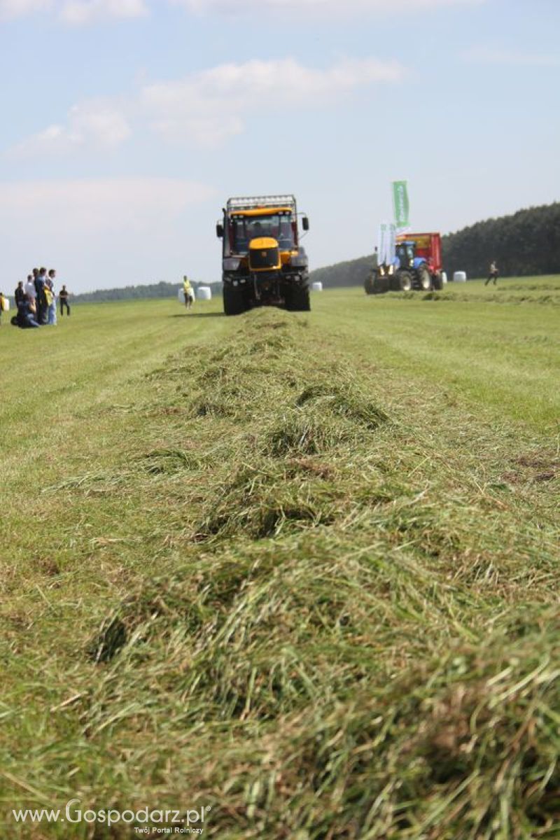 Zielone Agro Show pokaz maszyn rolniczych