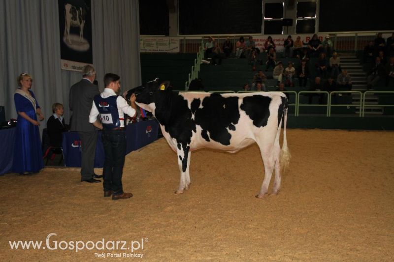 Wystawa  Blickpunkt Rind 2013 w miejscowości Paaren/Glien (Niemcy)