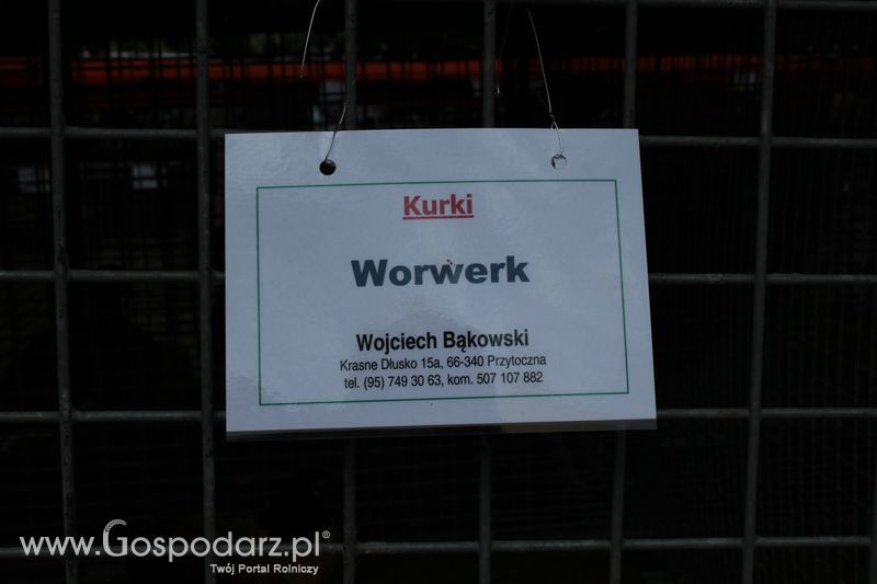 XX Targi Rolnicze Lubniewice - zwierzęta