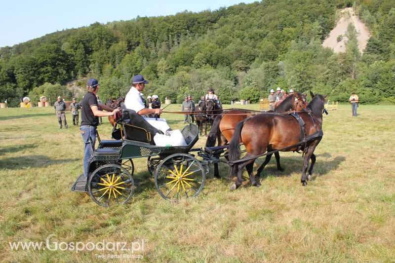 Pokazy konne i wręczenie nagród w Rudawce Rymanowskiej