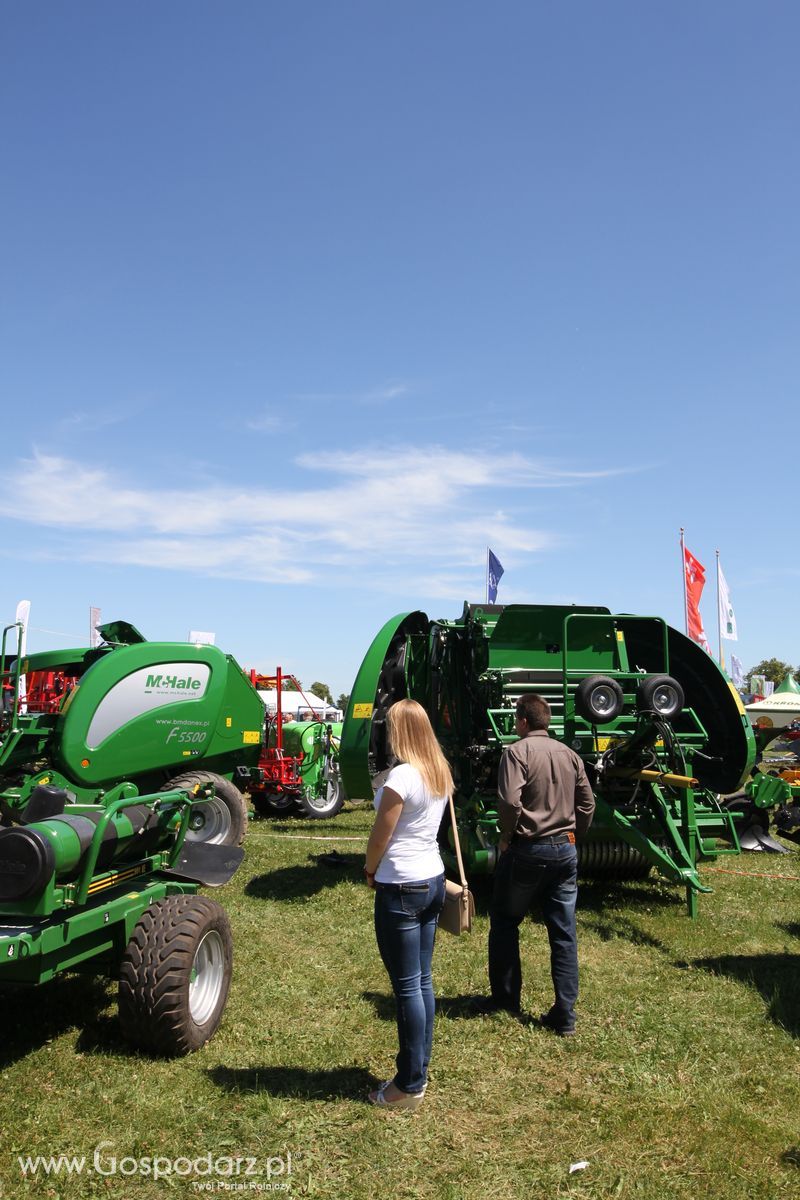 McHale na Wystawie w Szepietowie 